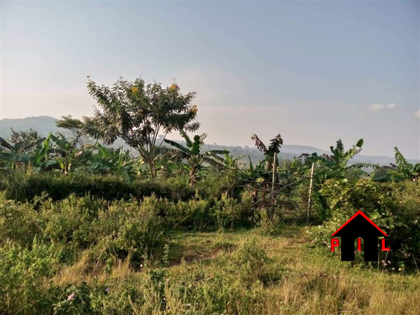 Agricultural Land for sale in Katosi Mukono