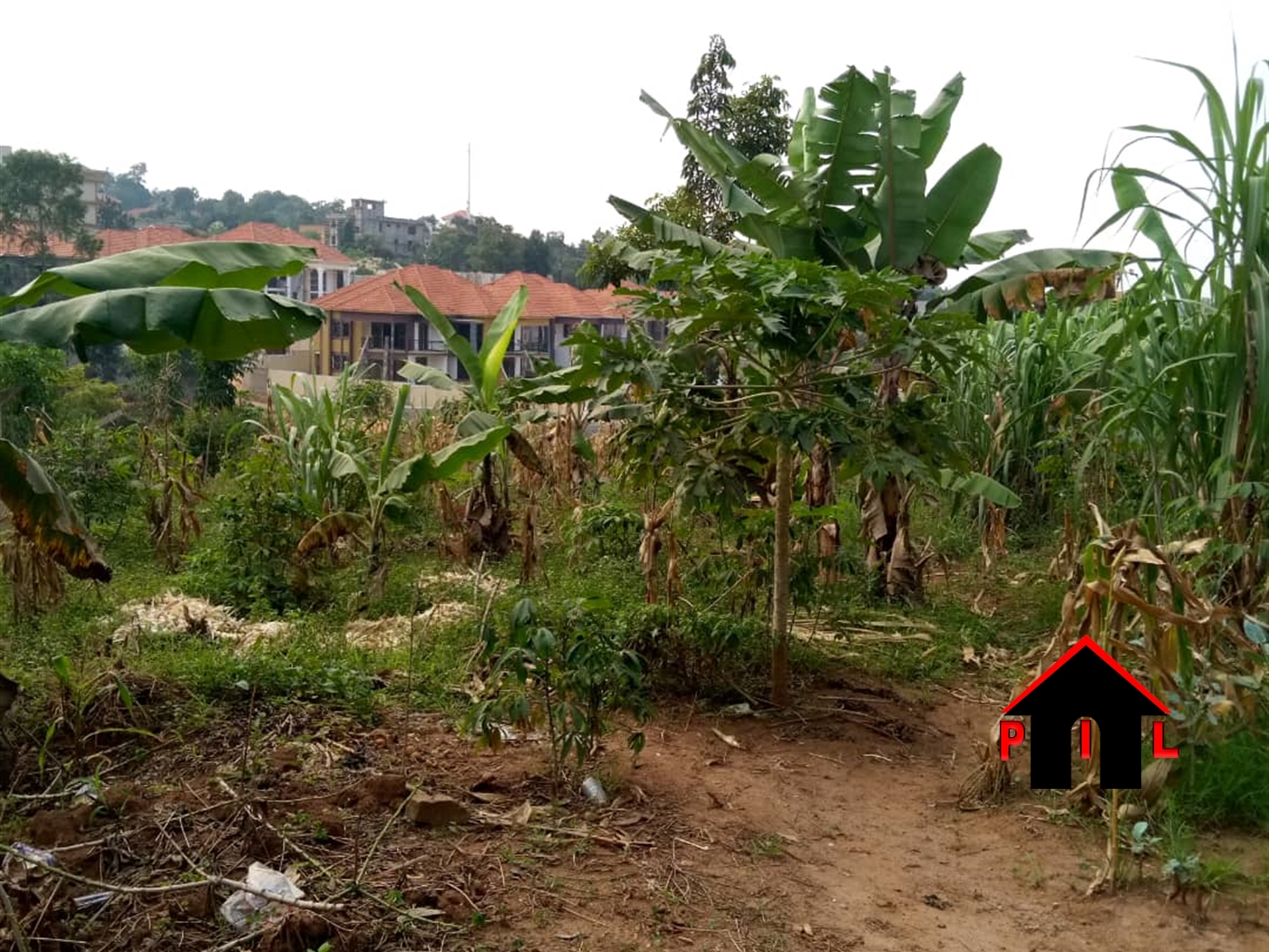 Residential Land for sale in Kiwaatule Kampala