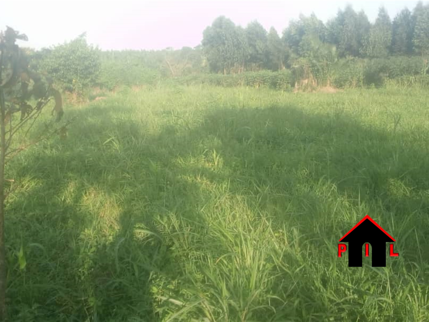 Agricultural Land for sale in Wabitungulu Luweero