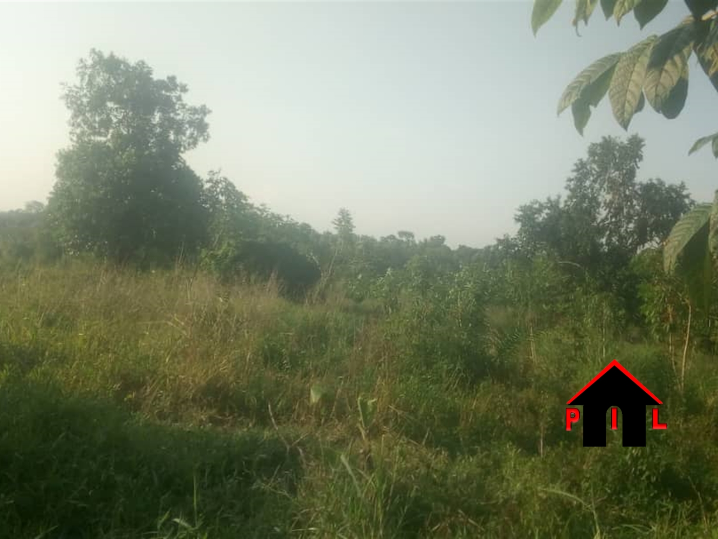 Agricultural Land for sale in Wabitungulu Luweero