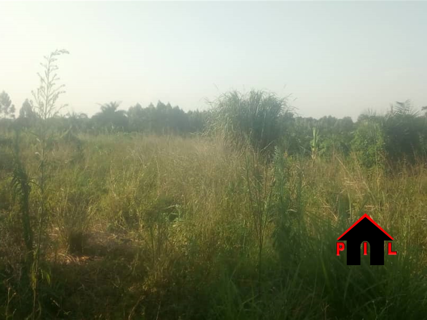 Agricultural Land for sale in Wabitungulu Luweero