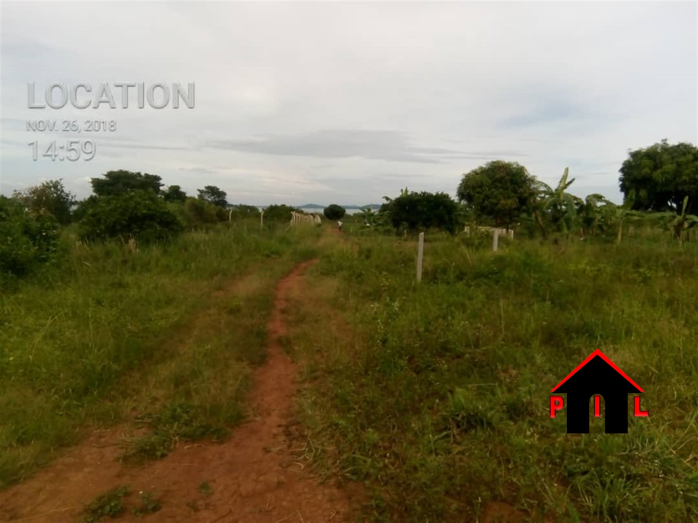 Agricultural Land for sale in Nakifuma Mukono
