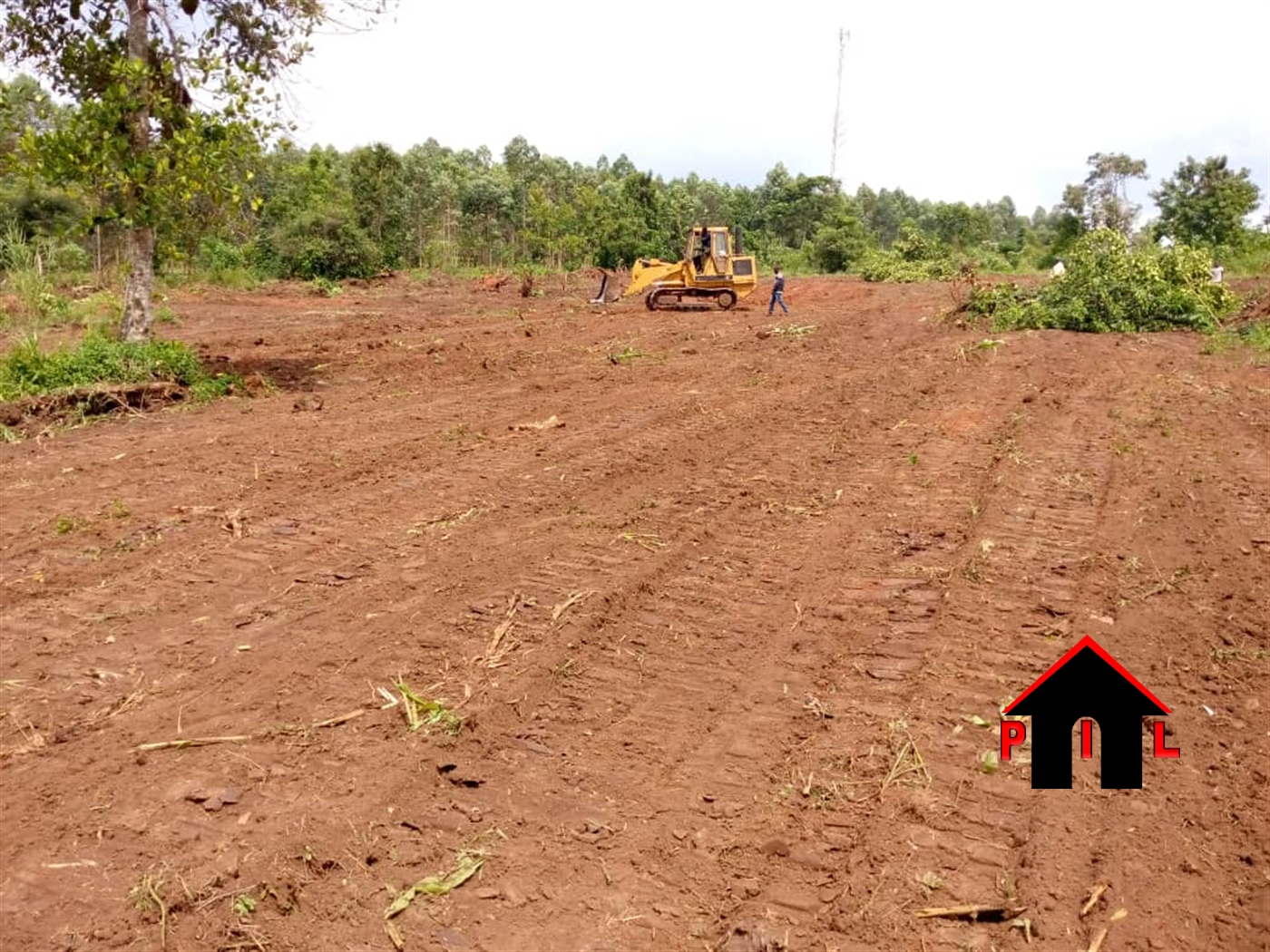 Agricultural Land for sale in Ngoma Nakaseke