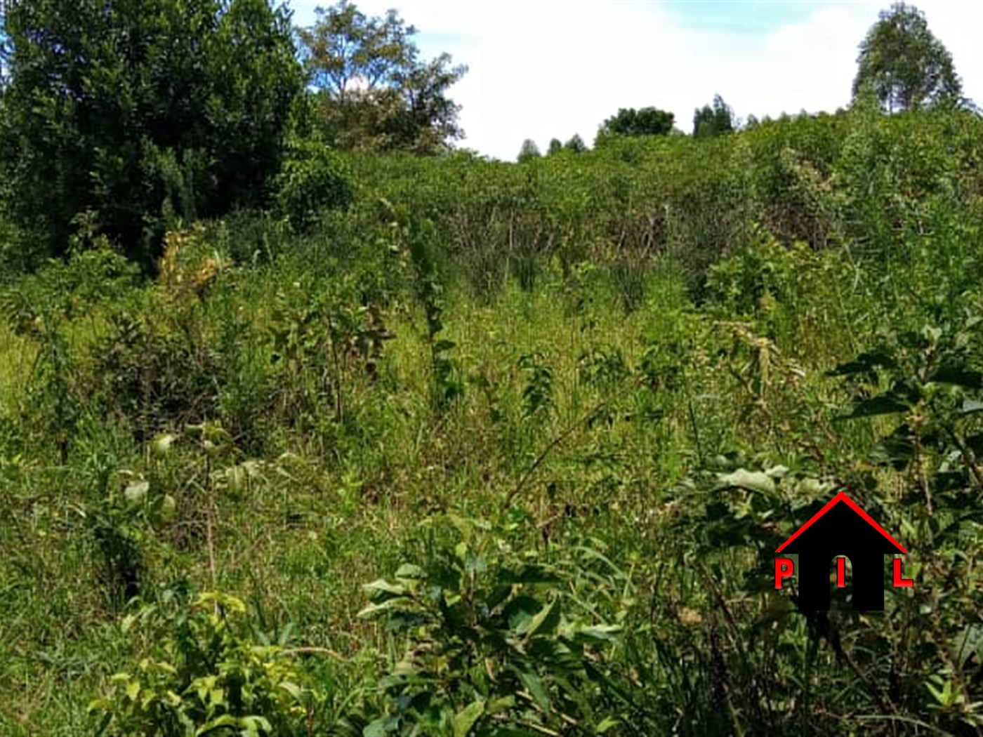 Agricultural Land for sale in Kiyanja Masaka