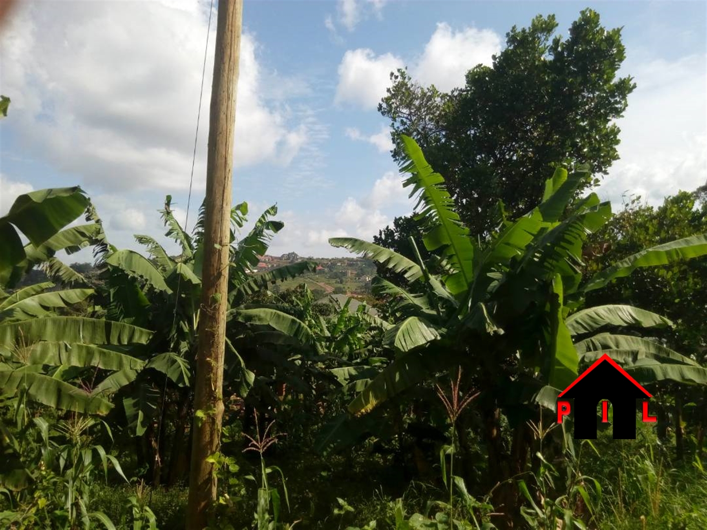 Agricultural Land for sale in Bukuya Mityana