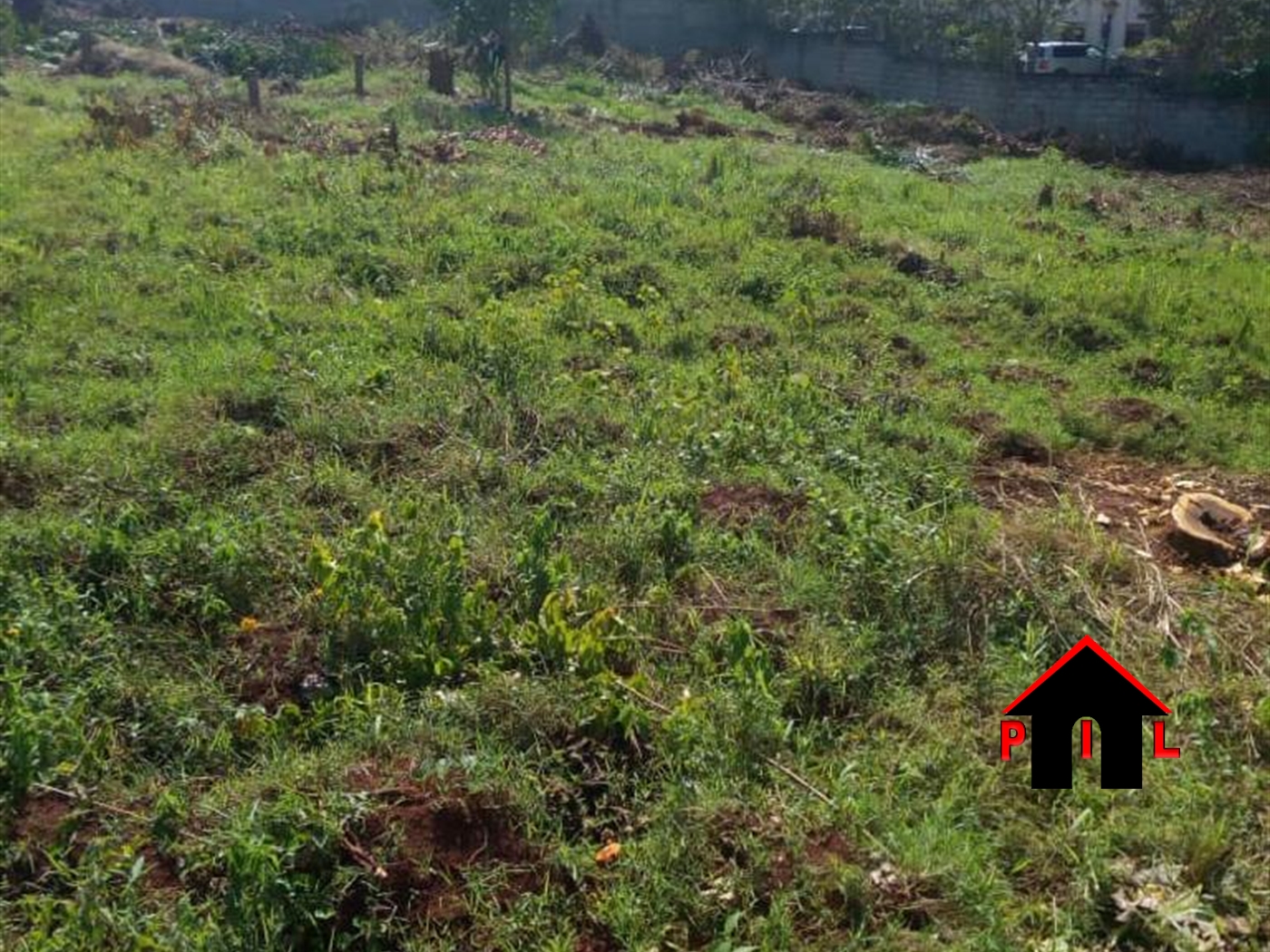 Agricultural Land for sale in Sasira Nakasongola