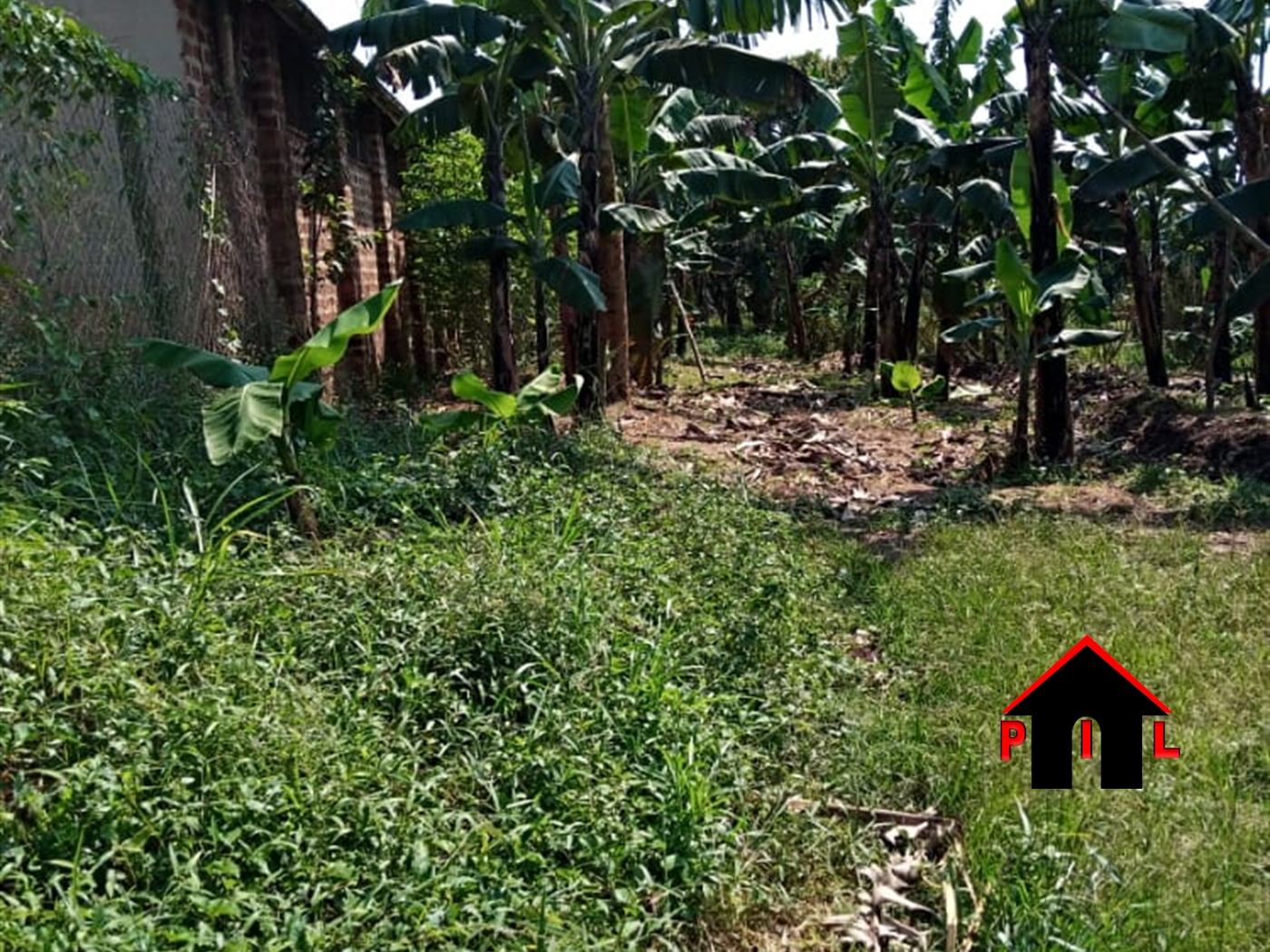 Agricultural Land for sale in Kwabili Luweero