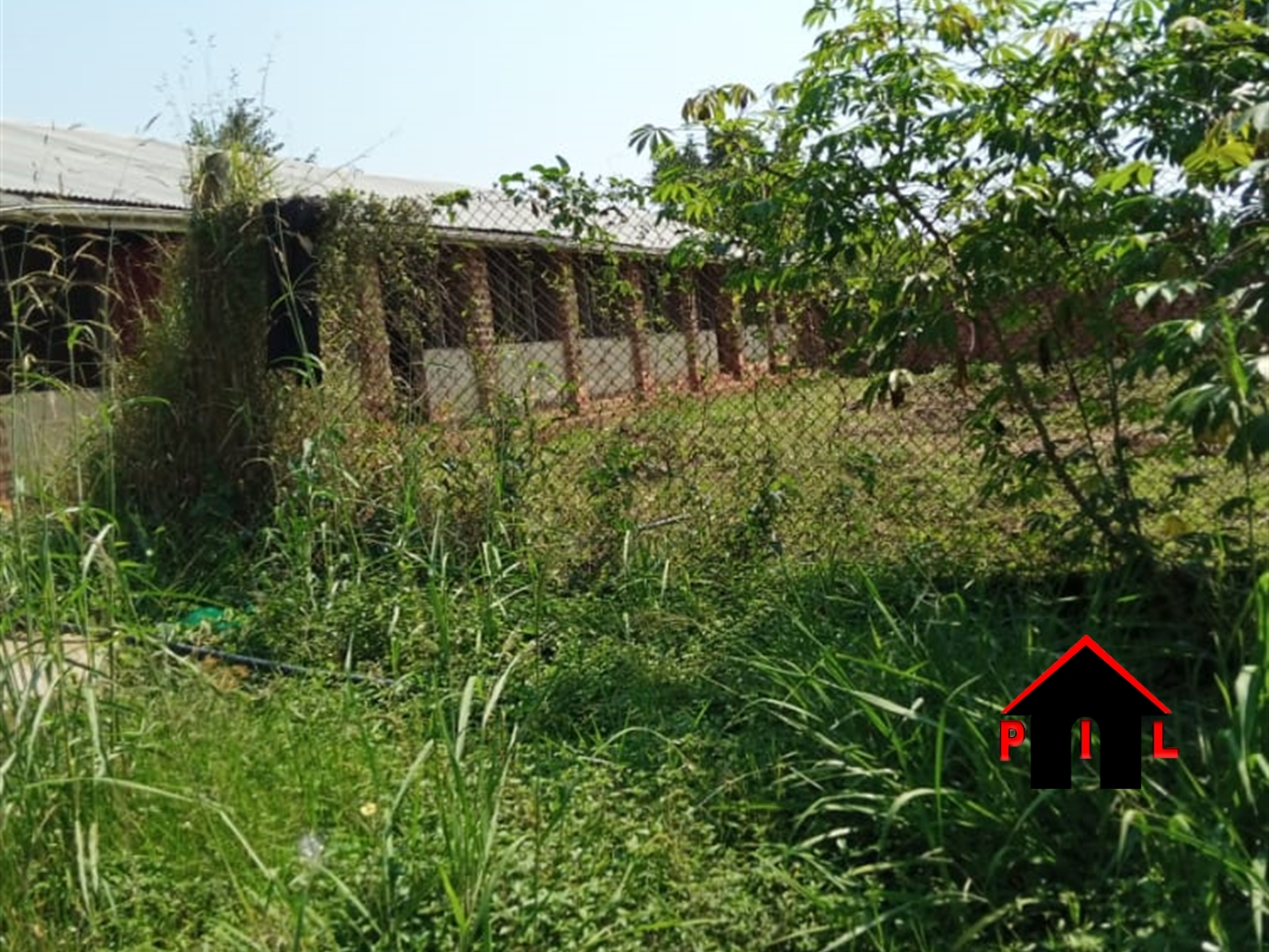 Agricultural Land for sale in Kwabili Luweero