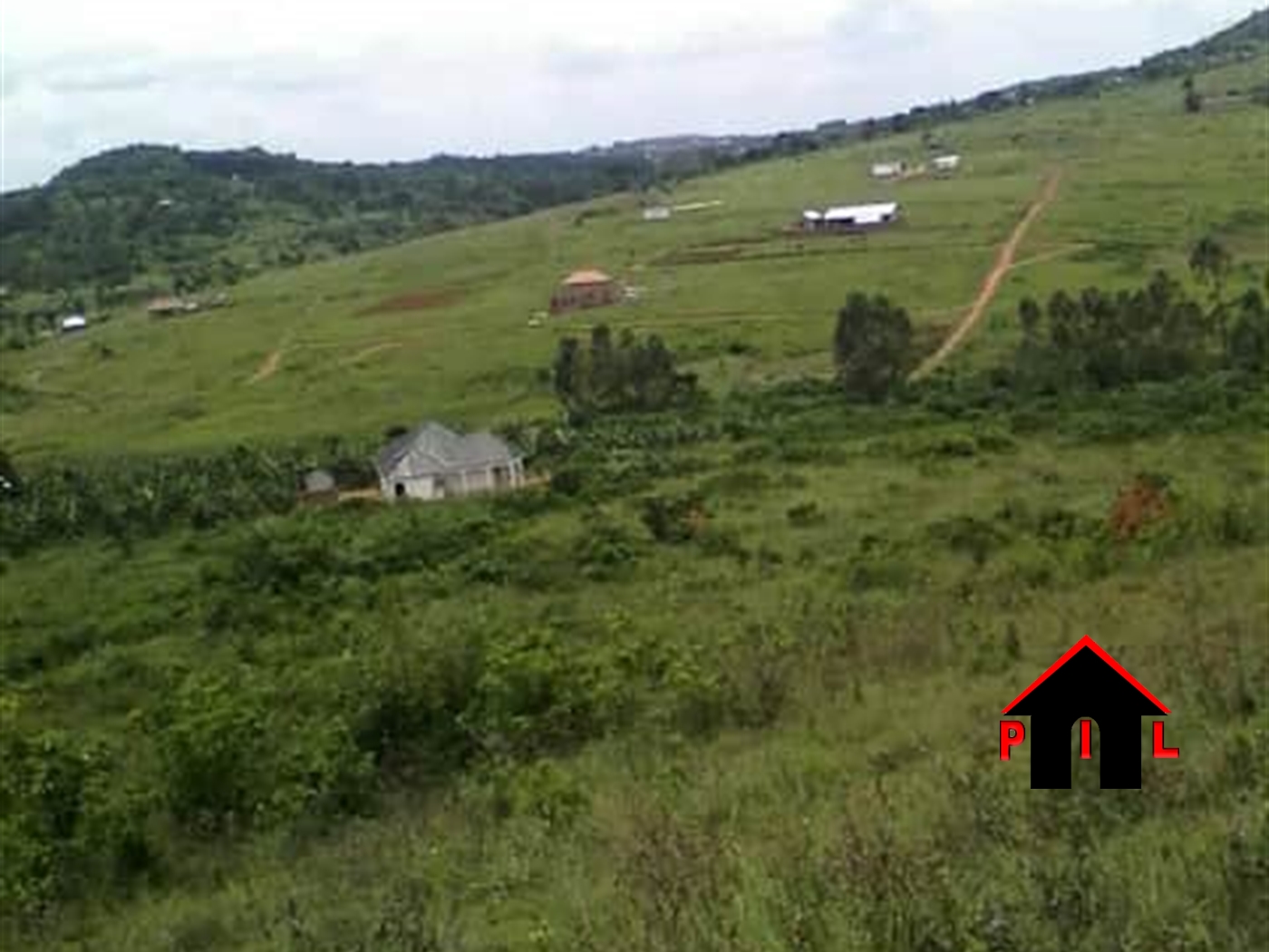 Agricultural Land for sale in Lukwanga Wakiso