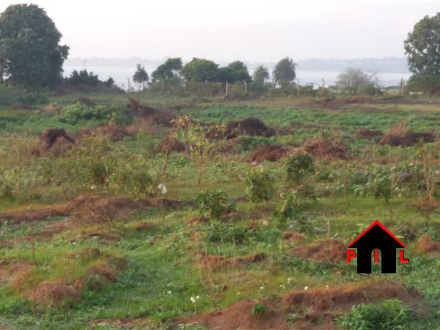 Agricultural Land for sale in Lukwanga Wakiso