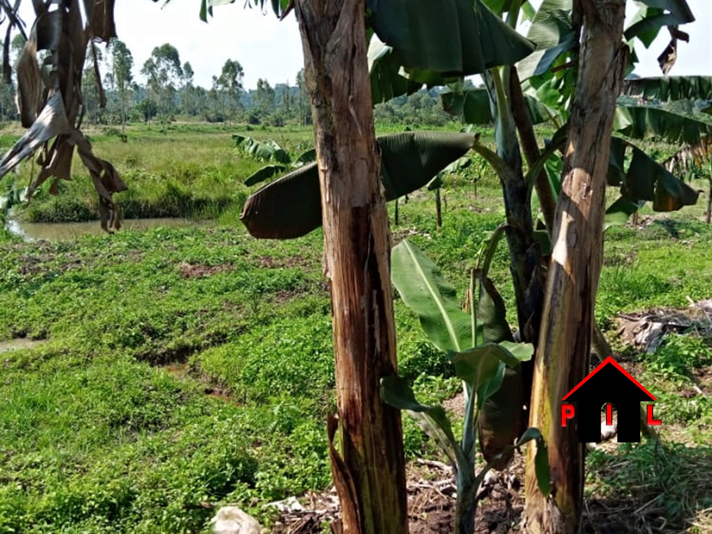 Agricultural Land for sale in Bombo Luwero