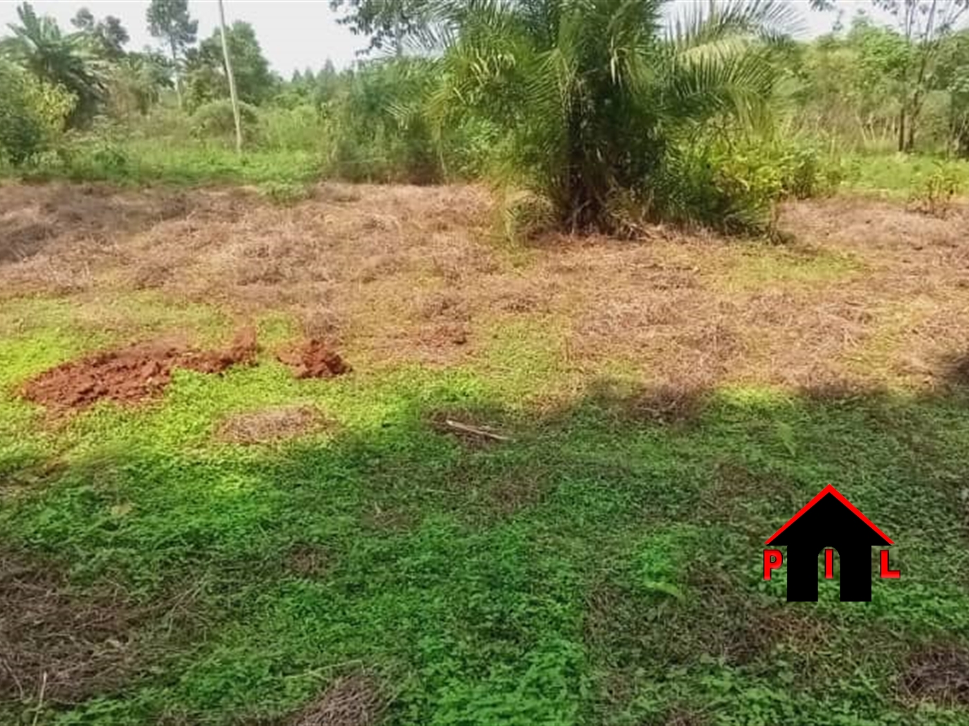 Agricultural Land for sale in Kisoga Mukono