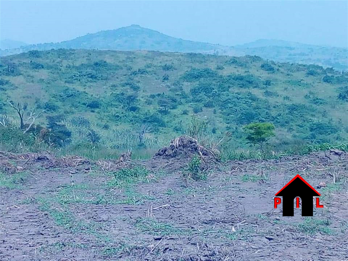 Agricultural Land for sale in Kalonga Mubende