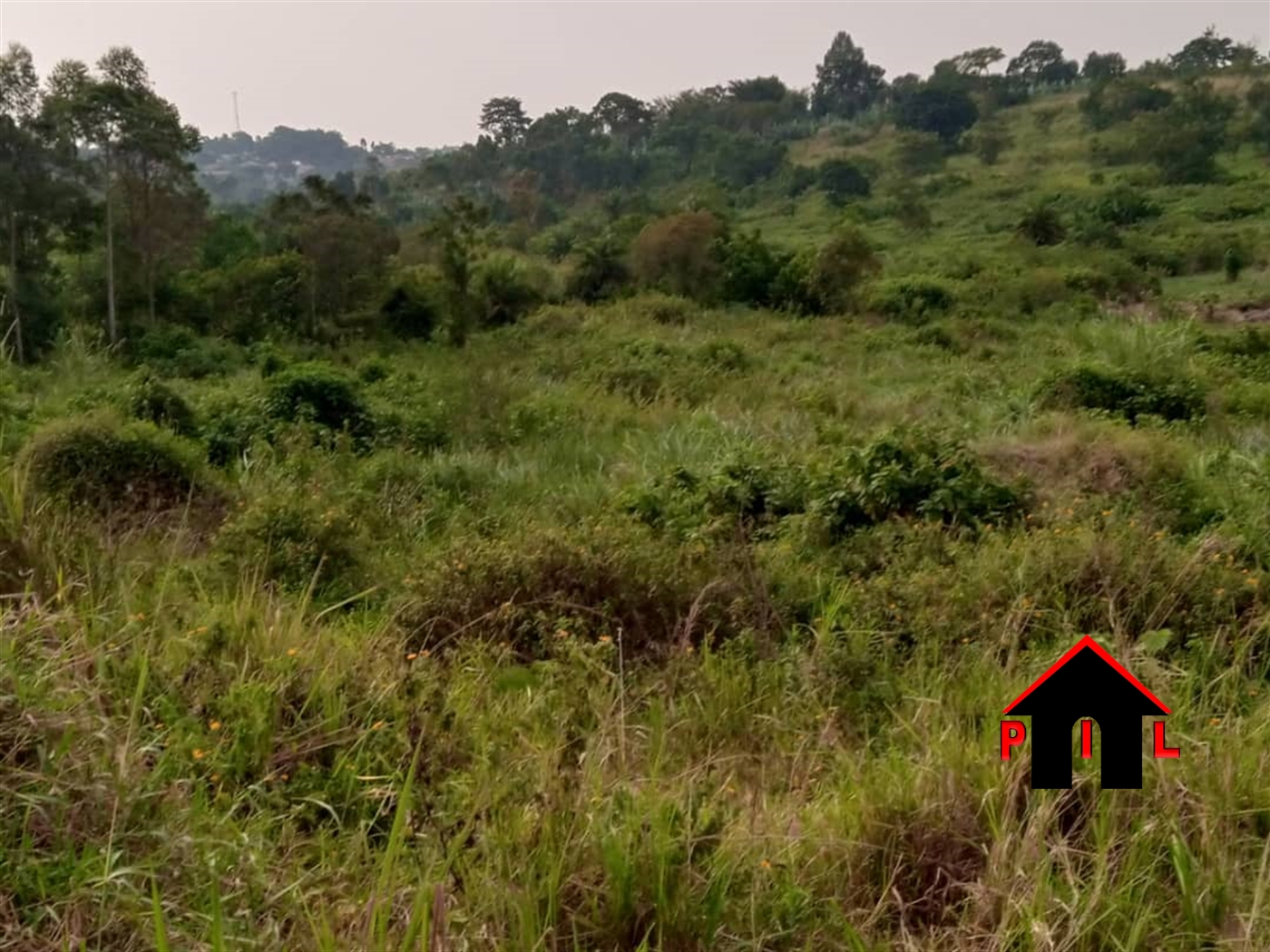Commercial Land for sale in Mbale Mpigi