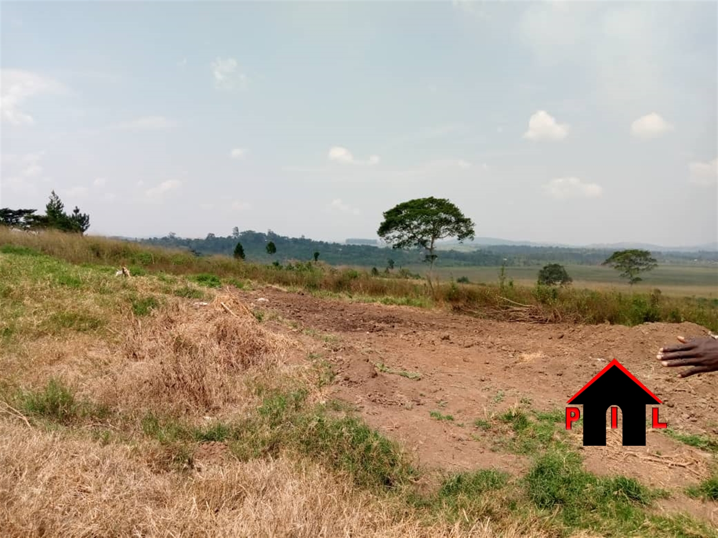 Agricultural Land for sale in Kabubbu Wakiso