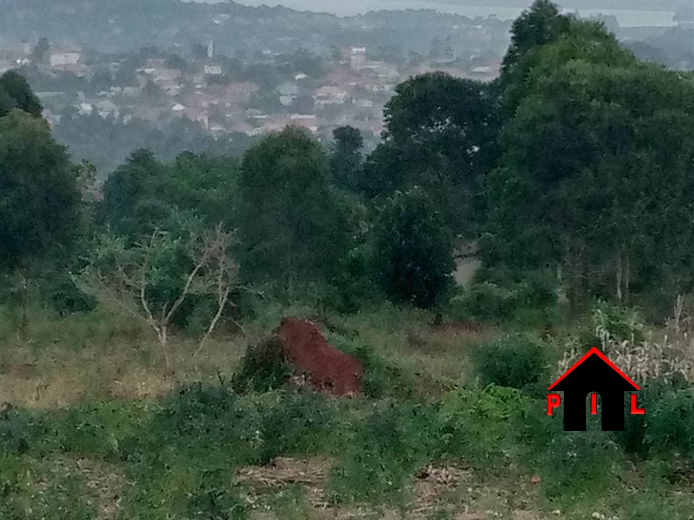 Agricultural Land for sale in Buzi Kampala