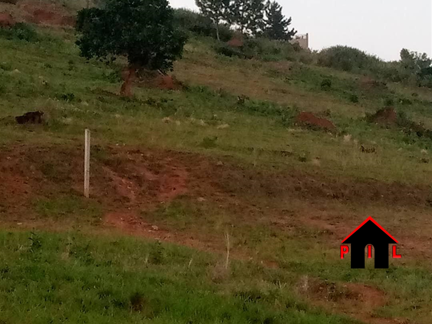 Agricultural Land for sale in Buzi Kampala