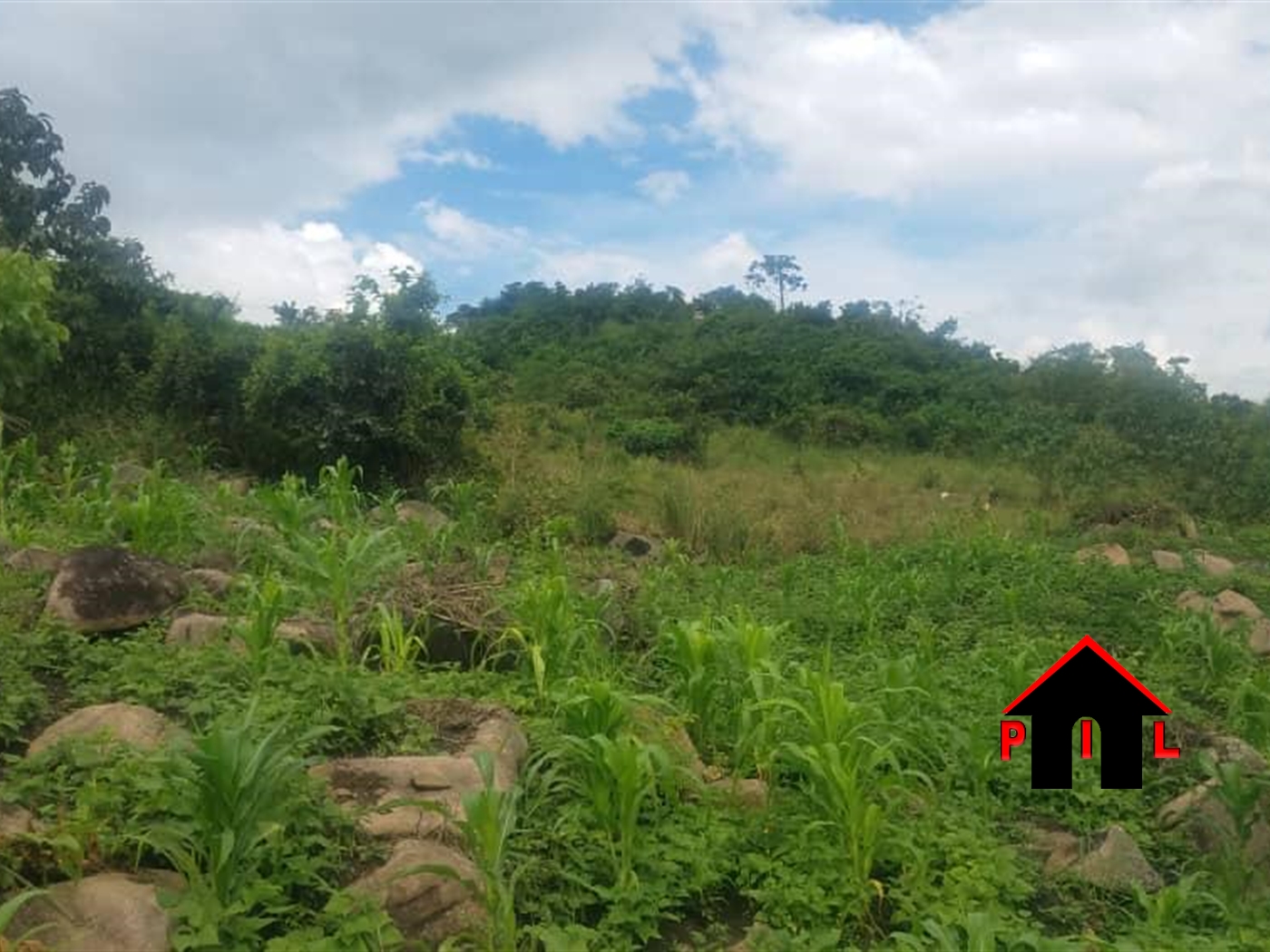 Industrial Land for sale in Rwamika Hoima