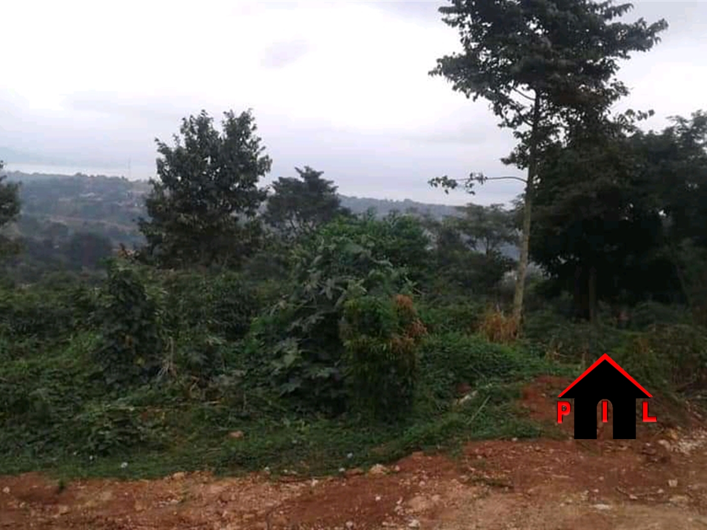 Agricultural Land for sale in Namulonge Wakiso