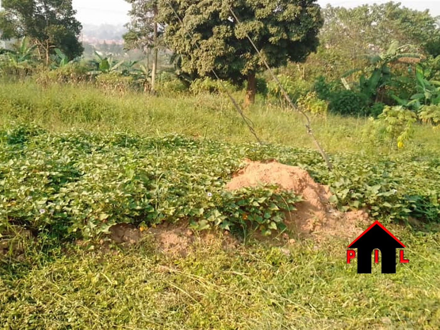 Agricultural Land for sale in Seeta Mukono