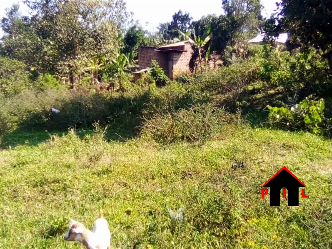 Residential Land for sale in Katosi Mukono