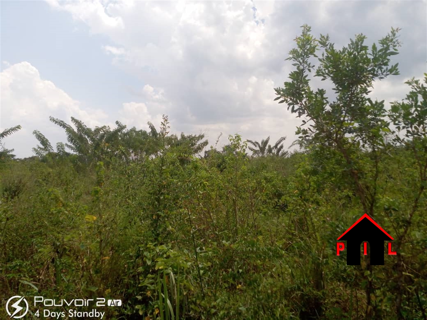 Agricultural Land for sale in Nabisojjo Nakaseke