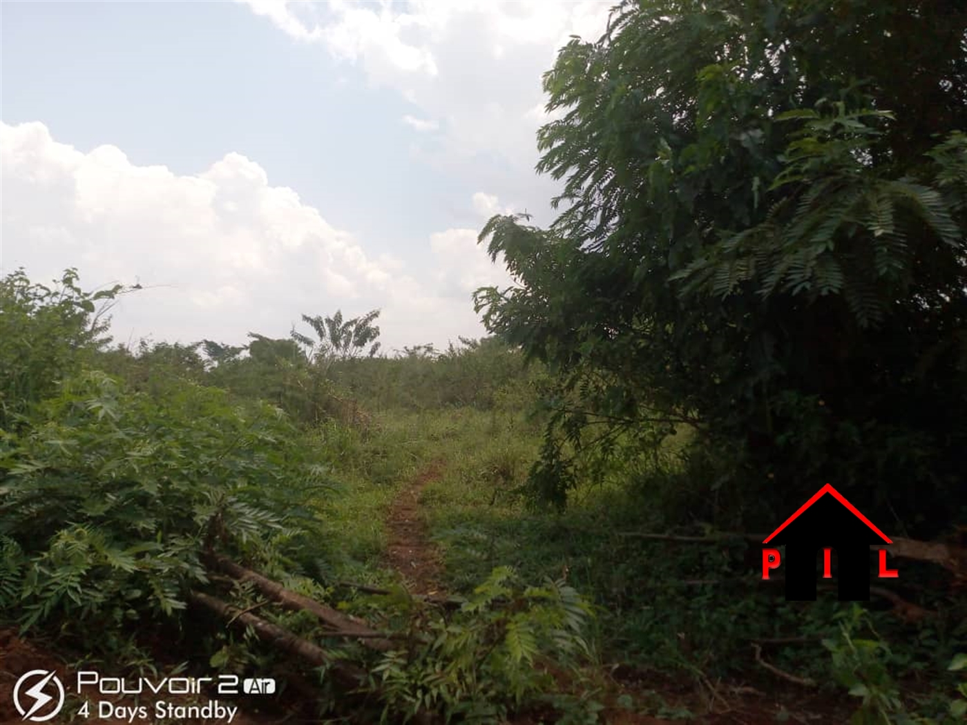 Agricultural Land for sale in Nabisojjo Nakaseke