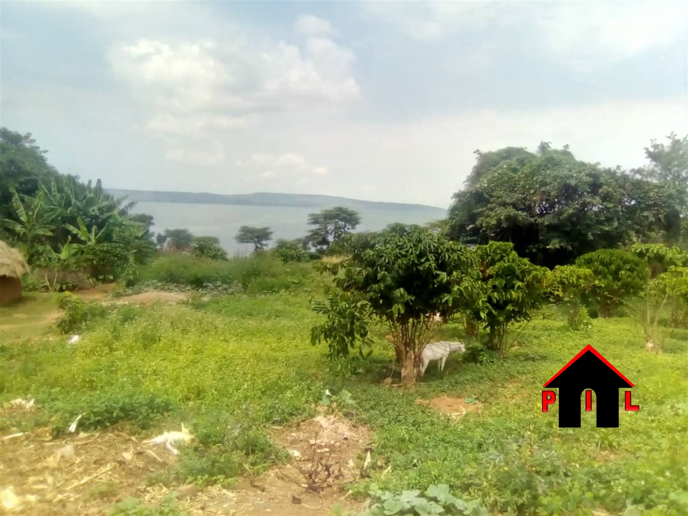 Agricultural Land for sale in Bugoba Mukono