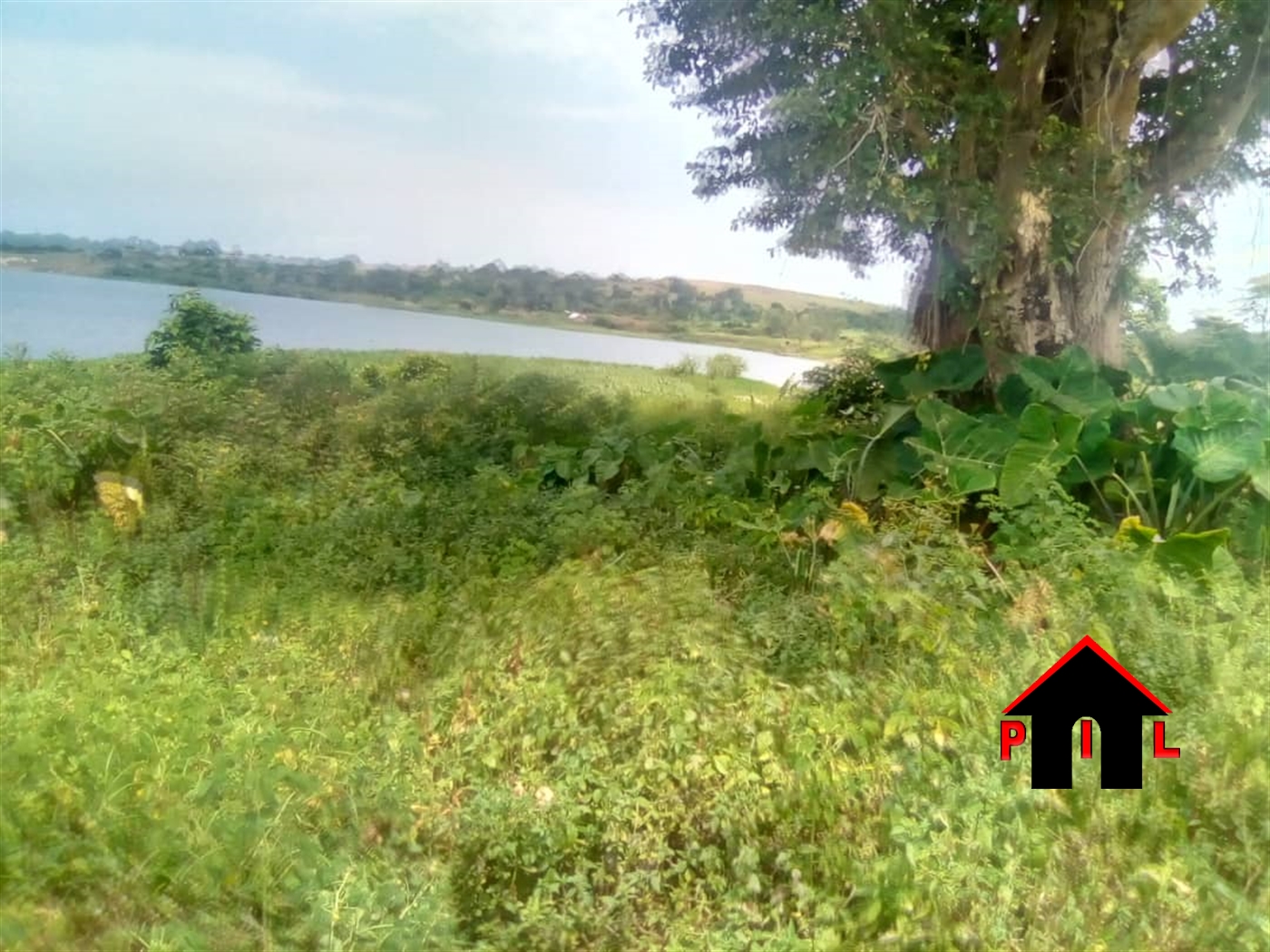 Agricultural Land for sale in Bugoba Mukono