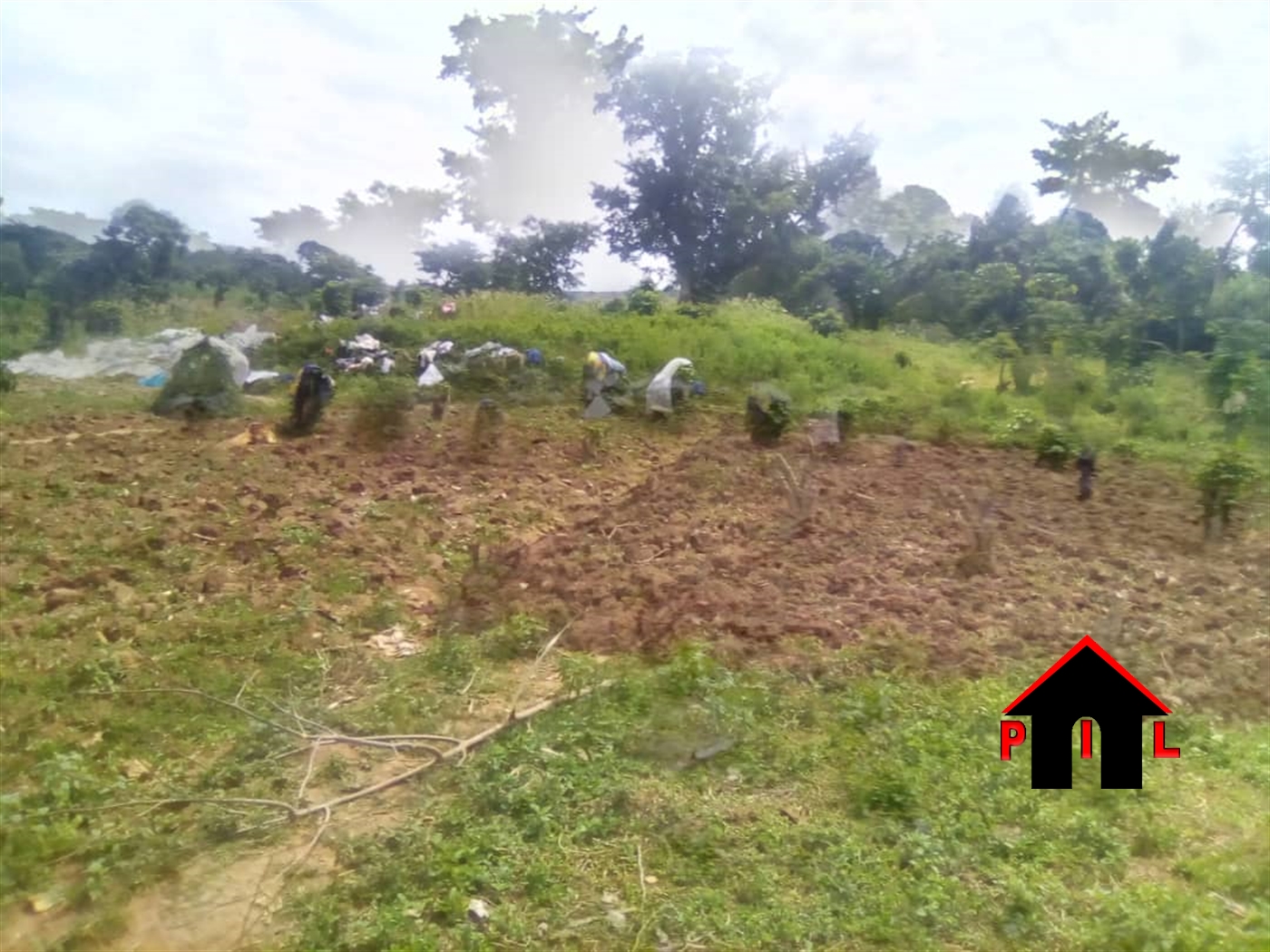 Agricultural Land for sale in Bugoba Mukono