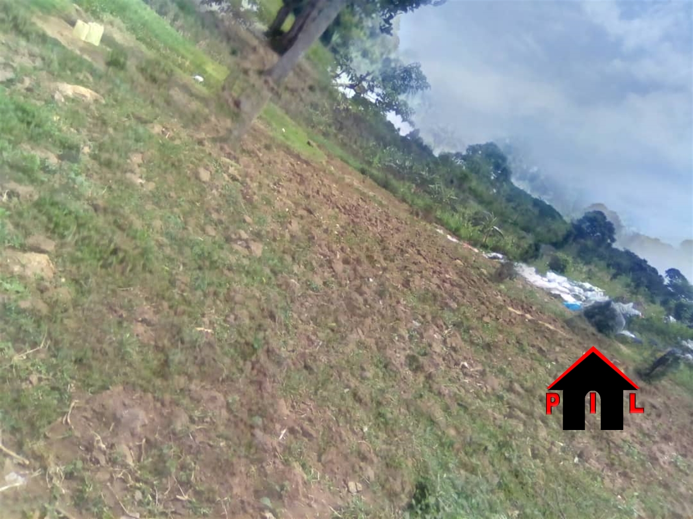 Agricultural Land for sale in Bugoba Mukono