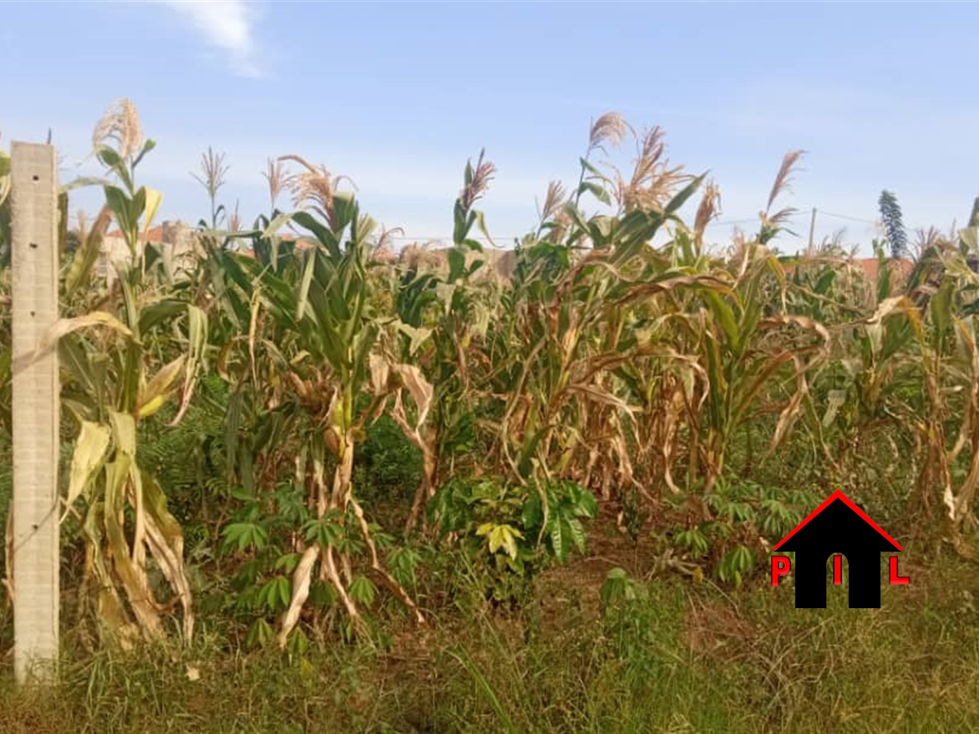 Residential Land for sale in Kira Wakiso