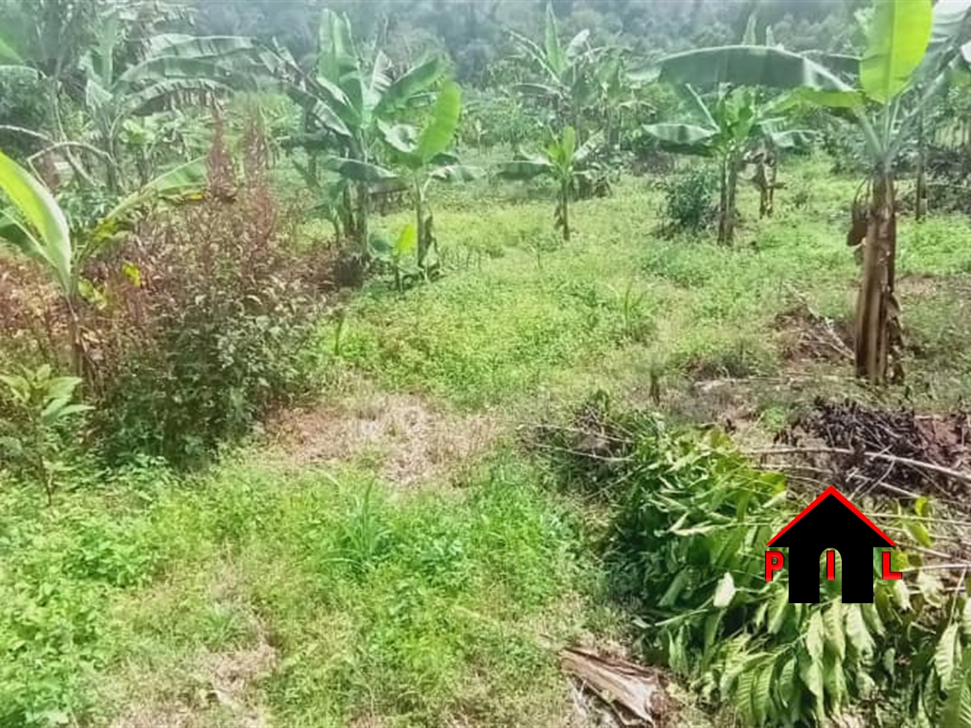 Agricultural Land for sale in Kisoga Mukono