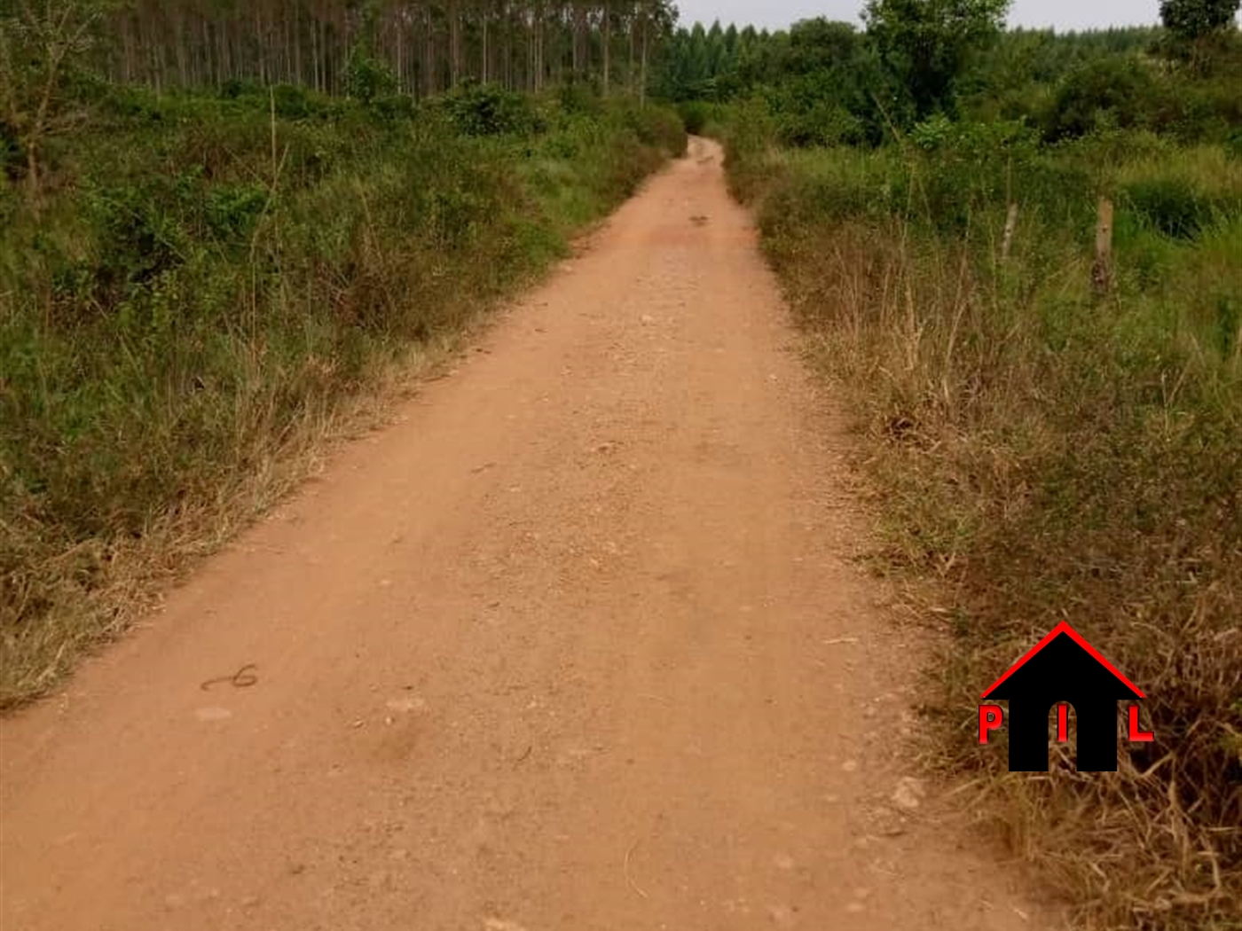 Agricultural Land for sale in Kasana Luweero