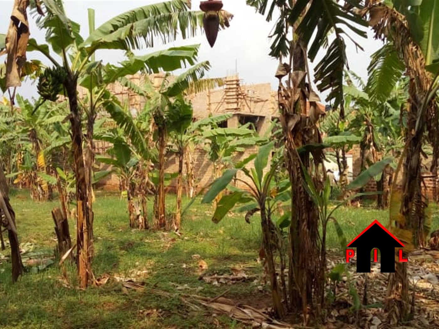 Residential Land for sale in Najjera Wakiso