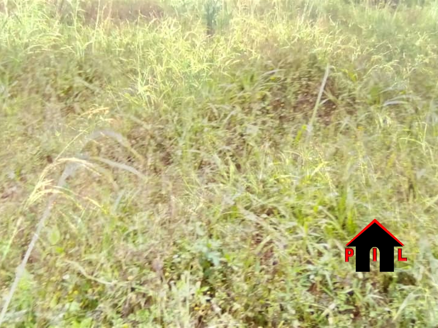 Residential Land for sale in Namuwongo Kampala