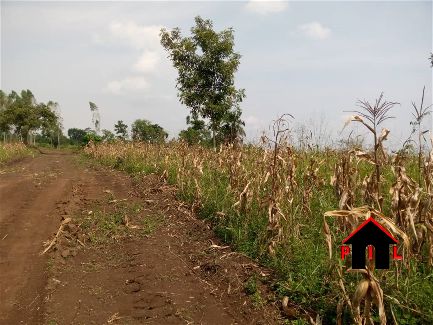 Residential Land for sale in Kulambilo Wakiso