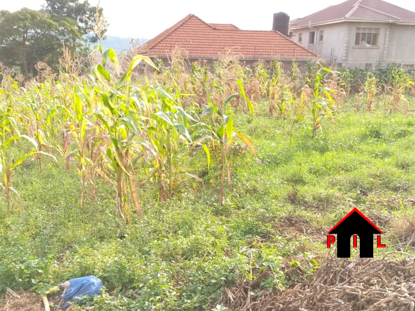 Residential Land for sale in Ntinda Kampala