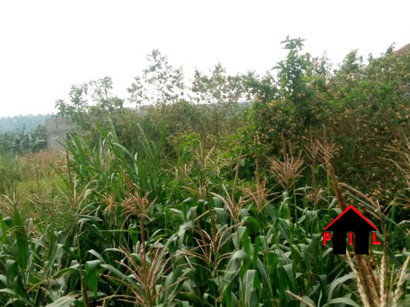 Residential Land for sale in Buwaate Wakiso