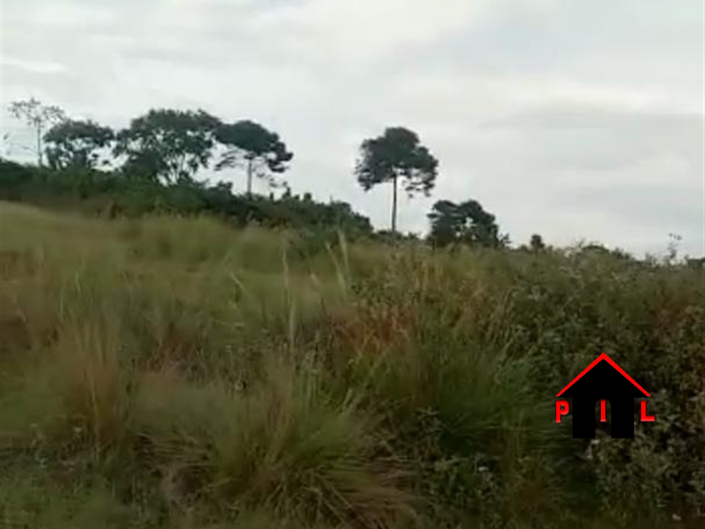 Agricultural Land for sale in Muvo Mukono