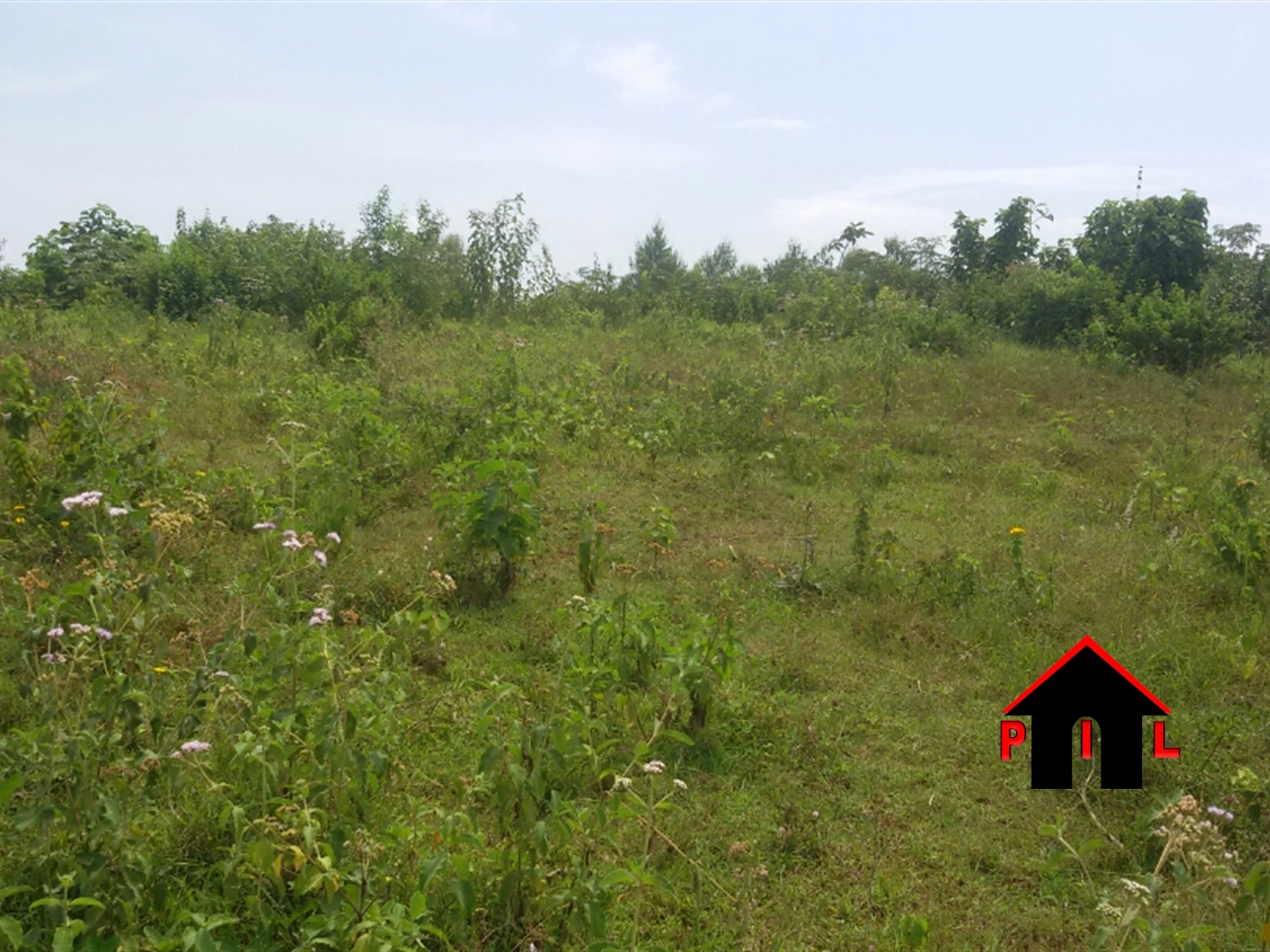 Industrial Land for sale in Namanve Mukono