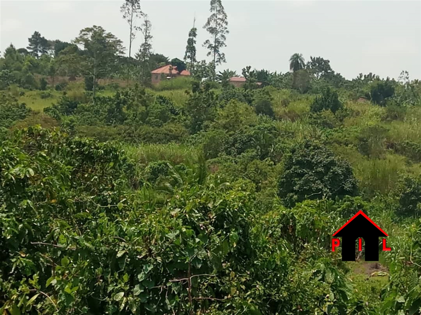 Agricultural Land for sale in Bukeelele Mukono