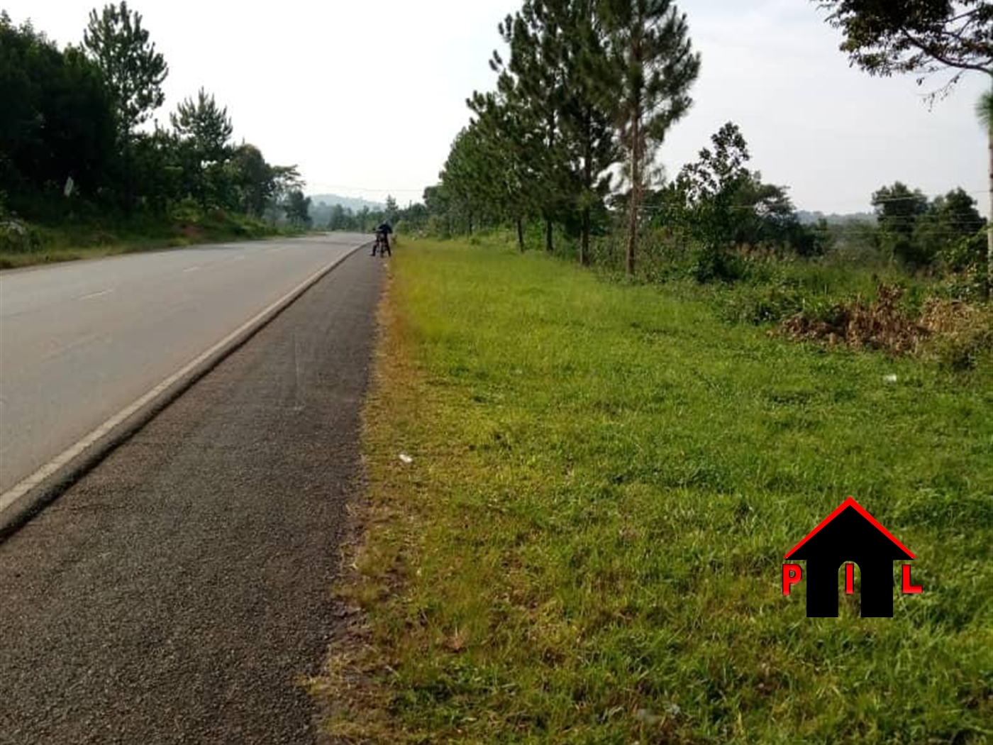 Agricultural Land for sale in Busunjju Mityana