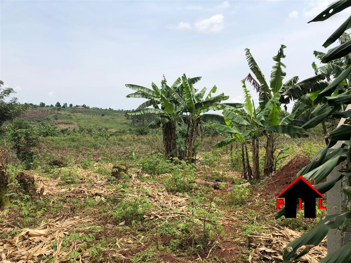 Agricultural Land for sale in Bukeelele Mukono