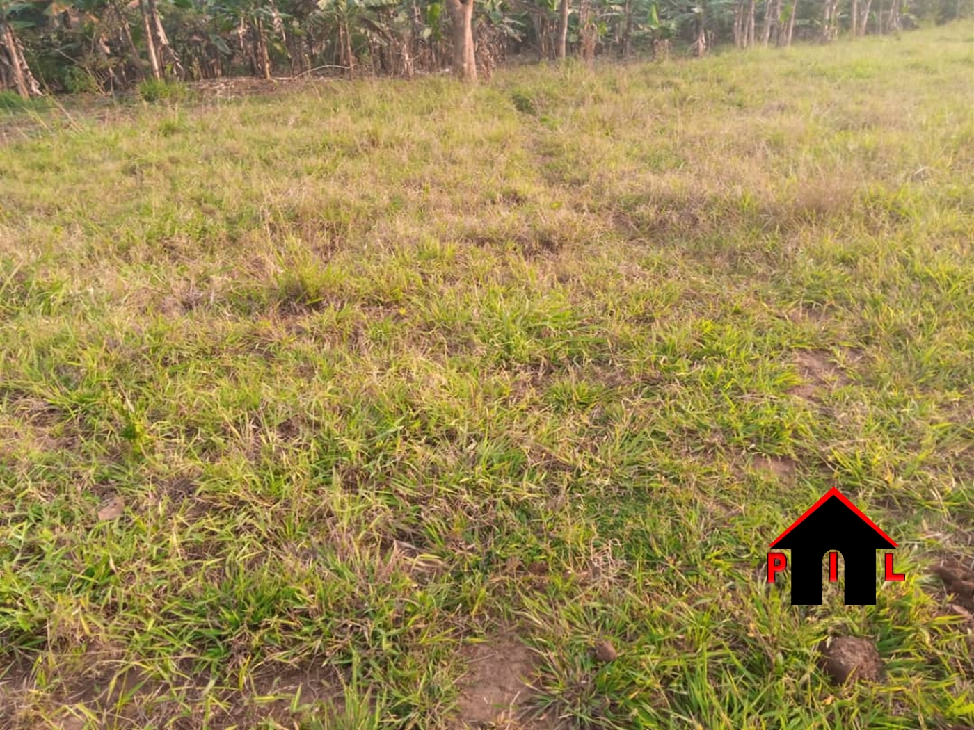 Residential Land for sale in Matugga Wakiso