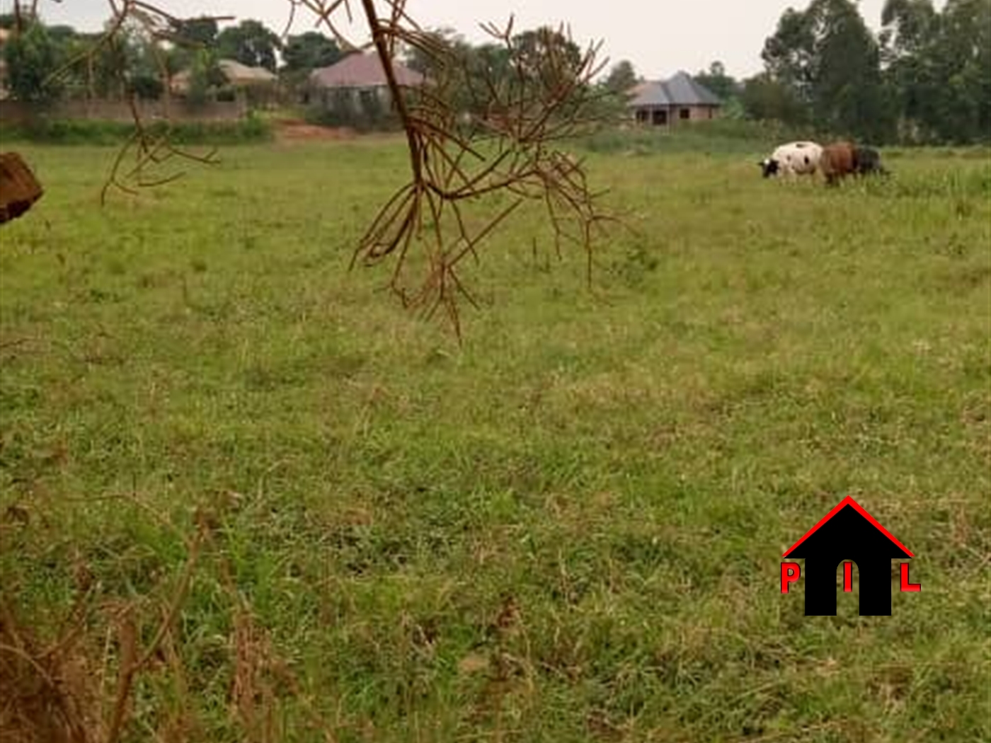 Agricultural Land for sale in Naluvule Wakiso