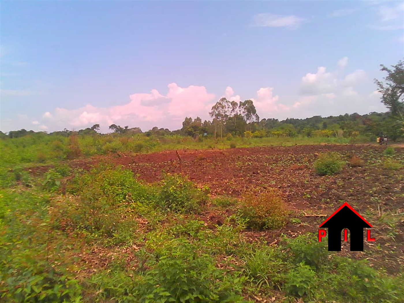 Agricultural Land for sale in Kayunga Mukono