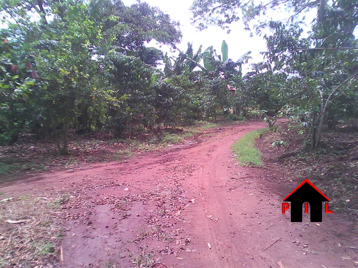 Agricultural Land for sale in Kayunga Mukono