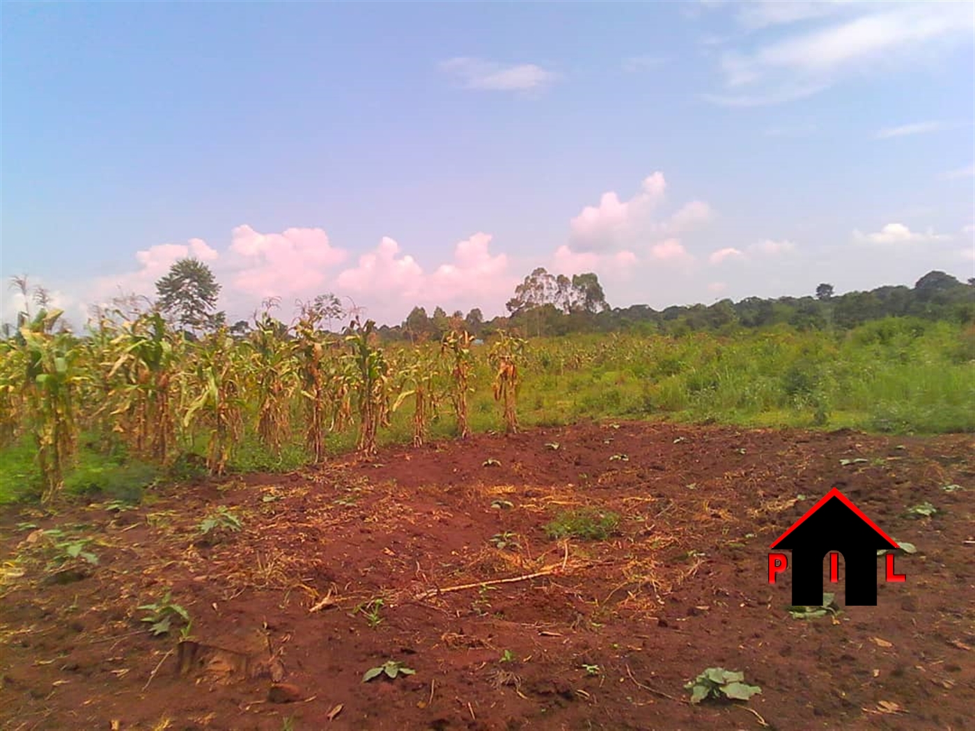 Agricultural Land for sale in Kayunga Mukono