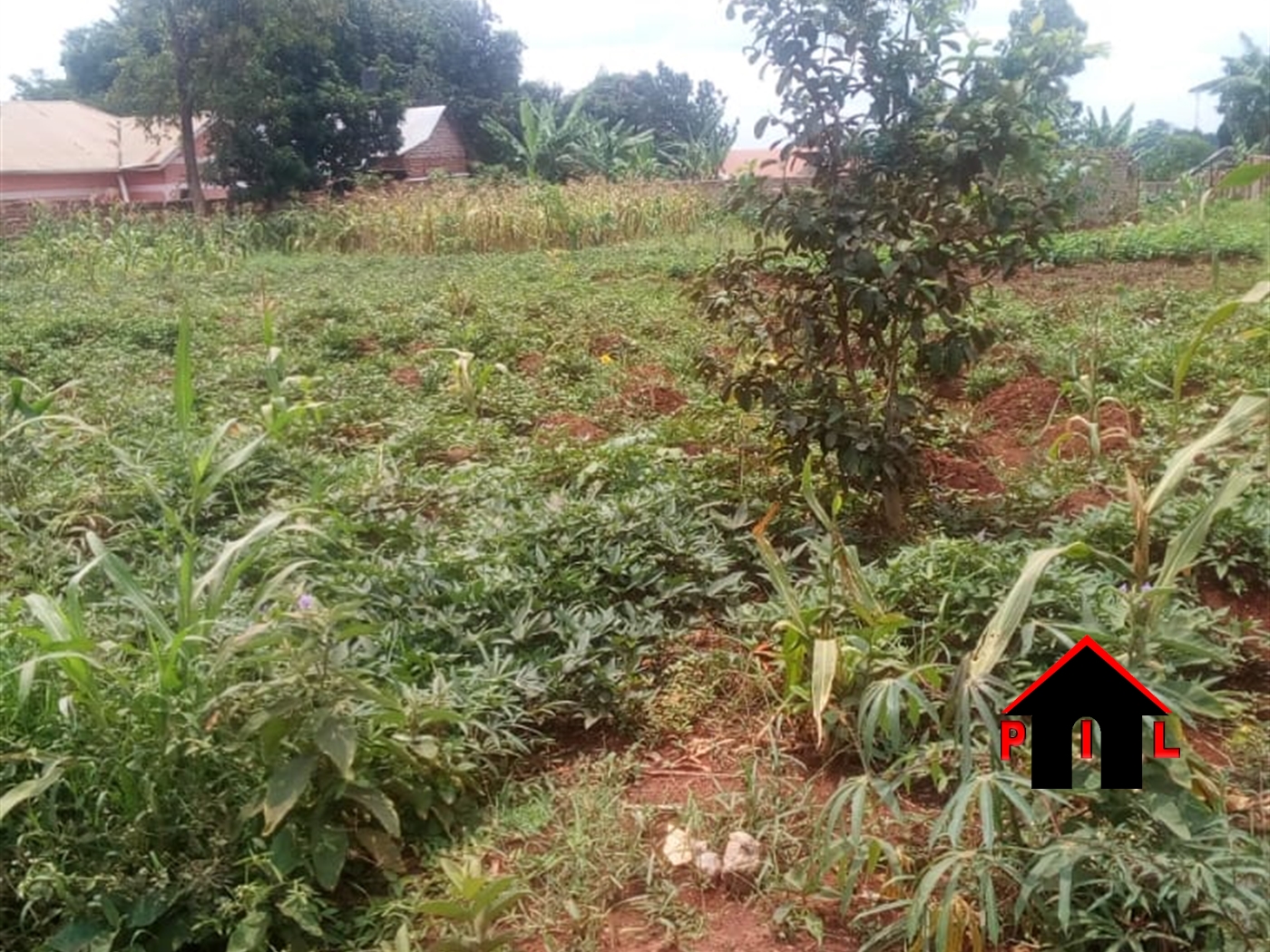 Residential Land for sale in Tula Wakiso